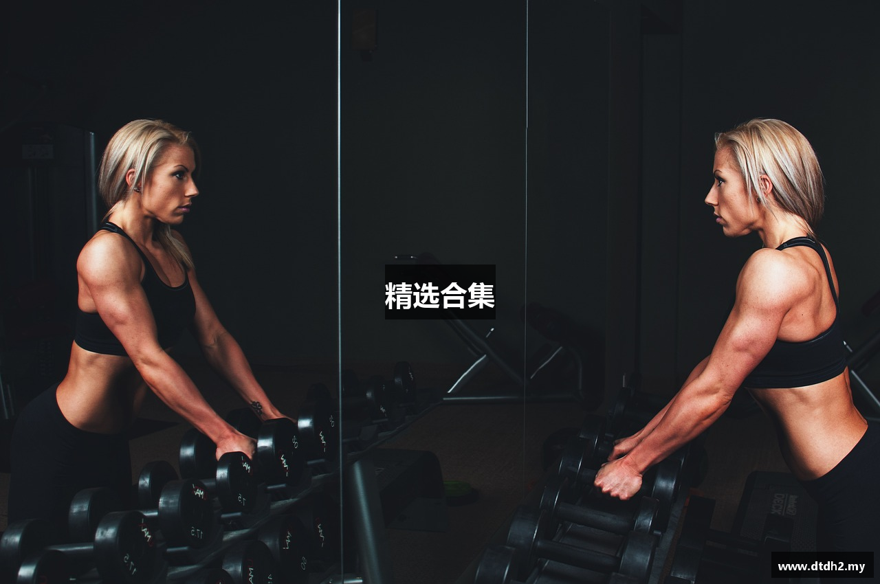 精选合集